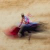 Bullfighting, bull, bullfighters, bullfight, animal, life, culture, red, yellow, pink, blood, colors, blurred, unfocused, concept, conceptual, horse, public, mounted bullfighter, bullfighting flag, horns, architecture, design, interior design, living room, dining room, home, decoration, muralism, artistic, picture, collector, company, executives, business, gallery, gallerist, museum photography, tourism, ecology, environment